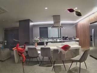 voyeurcam-casa-salsa-fishtank