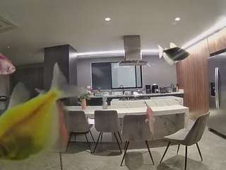voyeurcam-casa-salsa-fishtank