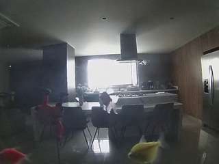 voyeurcam-casa-salsa-fishtank