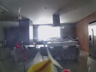 voyeurcam-casa-salsa-fishtank