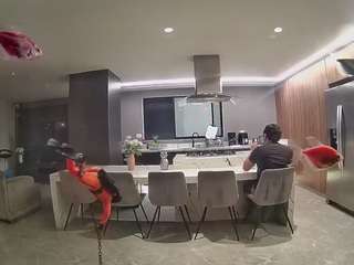 voyeurcam-casa-salsa-fishtank