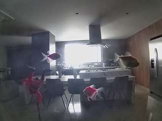 voyeurcam-casa-salsa-fishtank
