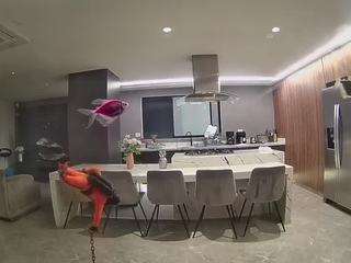 voyeurcam-casa-salsa-fishtank