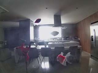 voyeurcam-casa-salsa-fishtank