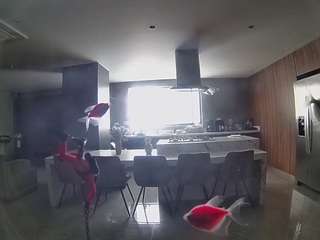 voyeurcam-casa-salsa-fishtank