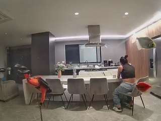 voyeurcam-casa-salsa-fishtank
