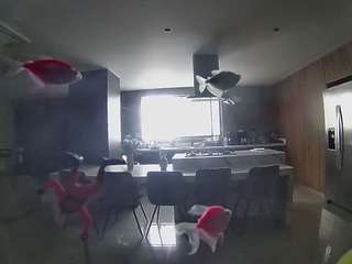 voyeurcam-casa-salsa-fishtank