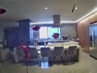 voyeurcam-casa-salsa-fishtank