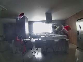 voyeurcam-casa-salsa-fishtank