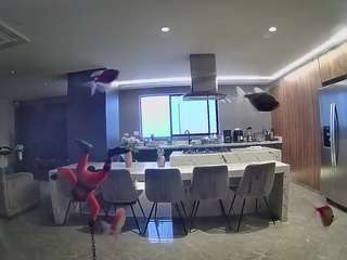 voyeurcam-casa-salsa-fishtank