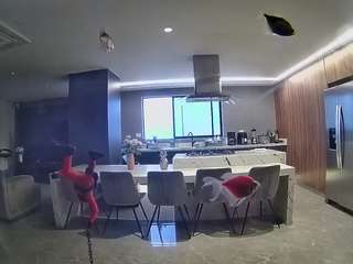 voyeurcam-casa-salsa-fishtank