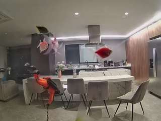 voyeurcam-casa-salsa-fishtank