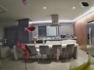 voyeurcam-casa-salsa-fishtank