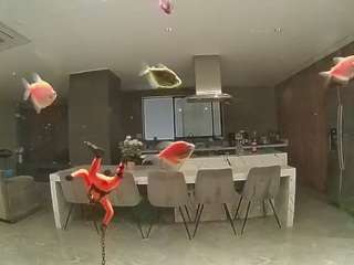 voyeurcam-casa-salsa-fishtank