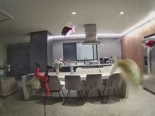voyeurcam-casa-salsa-fishtank