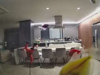 voyeurcam-casa-salsa-fishtank