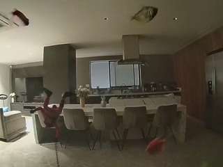 voyeurcam-casa-salsa-fishtank