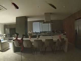 voyeurcam-casa-salsa-fishtank