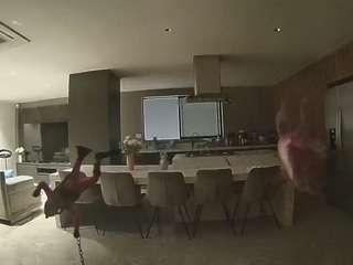 voyeurcam-casa-salsa-fishtank