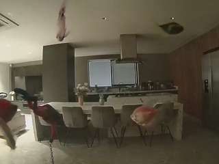 voyeurcam-casa-salsa-fishtank