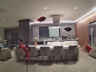 voyeurcam-casa-salsa-fishtank