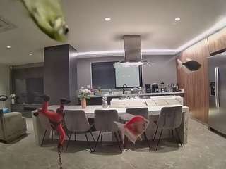 voyeurcam-casa-s... Live Webcam on CamSoda