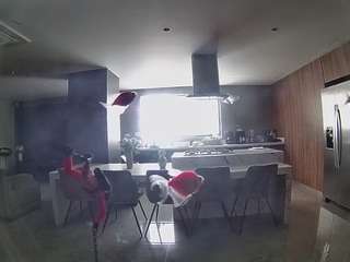 voyeurcam-casa-salsa-fishtank