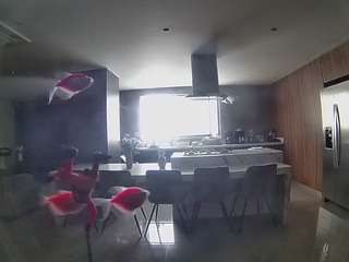 voyeurcam-casa-salsa-fishtank