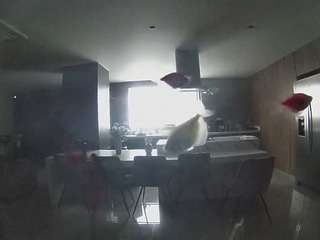 voyeurcam-casa-salsa-fishtank