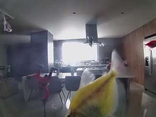 voyeurcam-casa-s... Live Webcam on CamSoda