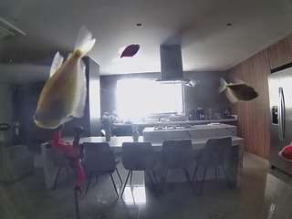 voyeurcam-casa-salsa-fishtank