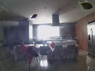 voyeurcam-casa-salsa-fishtank
