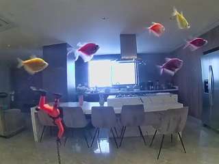 voyeurcam-casa-salsa-fishtank