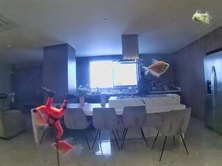 voyeurcam-casa-salsa-fishtank