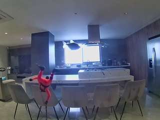 voyeurcam-casa-salsa-fishtank