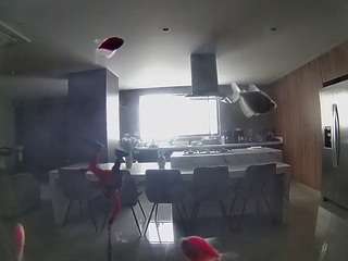 voyeurcam-casa-salsa-fishtank