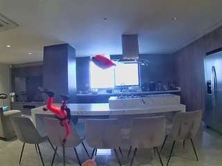 voyeurcam-casa-salsa-fishtank