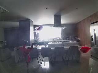 voyeurcam-casa-salsa-fishtank
