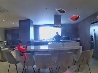 voyeurcam-casa-salsa-fishtank