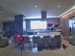 voyeurcam-casa-salsa-fishtank
