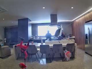 voyeurcam-casa-salsa-fishtank