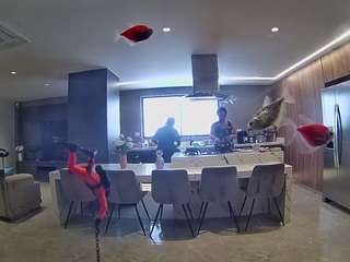 voyeurcam-casa-salsa-fishtank