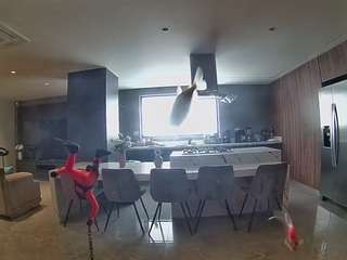 voyeurcam-casa-salsa-fishtank