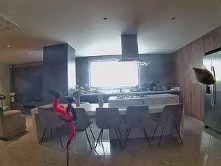 voyeurcam-casa-salsa-fishtank