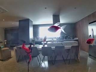 voyeurcam-casa-salsa-fishtank