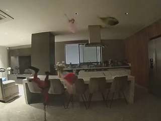voyeurcam-casa-salsa-fishtank