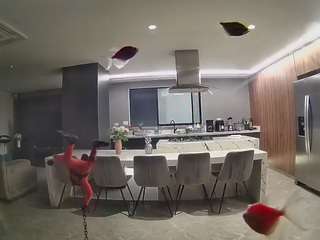 voyeurcam-casa-salsa-fishtank