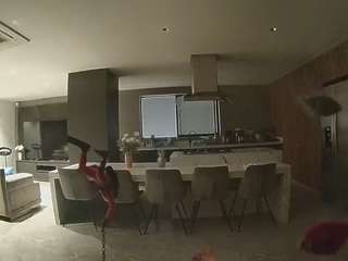 voyeurcam-casa-salsa-fishtank