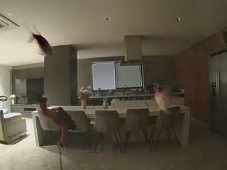 voyeurcam-casa-salsa-fishtank