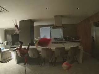 voyeurcam-casa-salsa-fishtank
